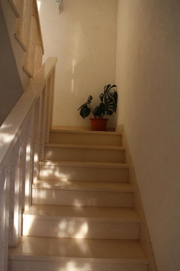 טרוגיר Apartments Tily מראה חיצוני תמונה